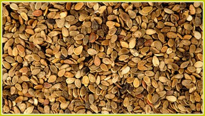 ���׌���ϷN�Ӱlѿ�����ϷN�ӵĴ�ѿ��������Щ��