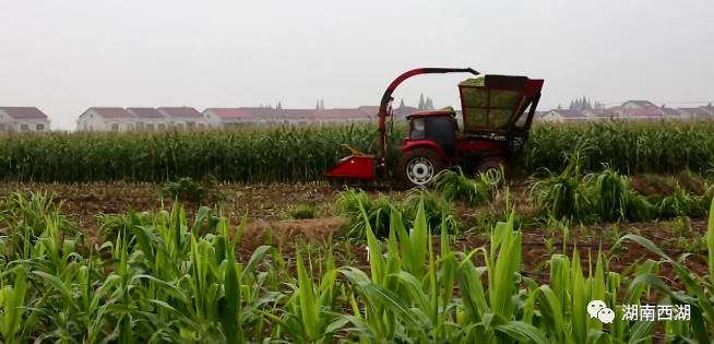 ����ʩ�ʷ����߂��e�`����֪��ô��