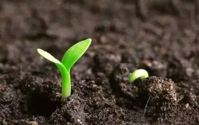 7�N��r����ֹʹ�þ�����