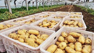 �R����߮a���༼�g����c����֪�����s�o�M������