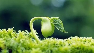 ֲ���{�����������p�Є���