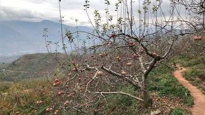 ���r��x�ʕr����ע����Щ��