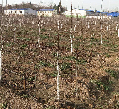 ���Ҙ������ڵĲ��x�����Σ����Ҙ䶬����������