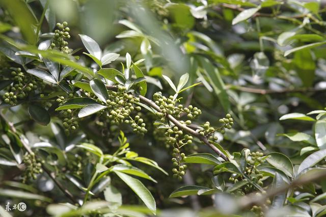 ���~�໨��������޼��������Nֲ���g