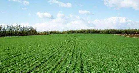 ���ʞ�ʲô�����磿����ǿs�����ǵĵ���