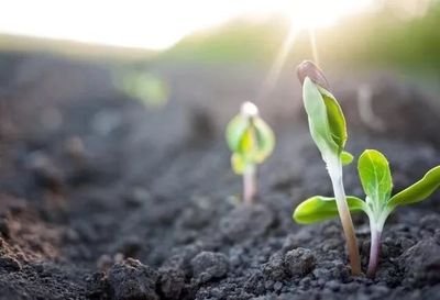 ���˾��ʛ]Ч��զ�k�����¾���ʧЧ��ԭ��