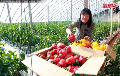 ��ʽ����ӹ���������ҕ�B(y��ng)���o(h��)�~