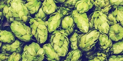 ơ�ƻ���ô�Nֲ��ơ�ƻ��߮a(ch��n)�Nֲ���g(sh��)��