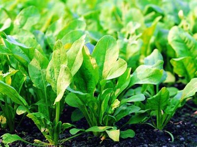 �~��ʵ�ʹ�÷��������֪��ô���~��ʵ�ʹ����헣�