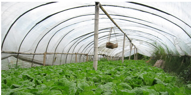 ���������߲����Ӈ�ˎ���������c(di��n)���������c(di��n)��