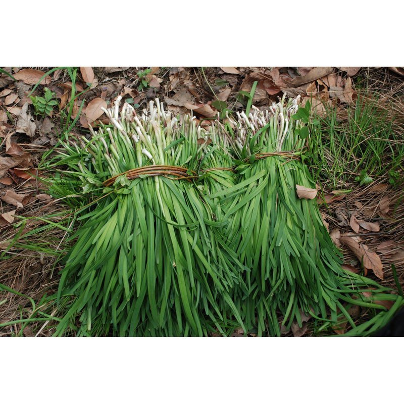 �紺�²���߮a��Ҫע��²˵��Ĵ�ʩ�ʷ���