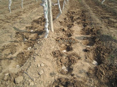 �J����ʩ������ʩ���������}�Ľ�Q������ֵ���ղأ�