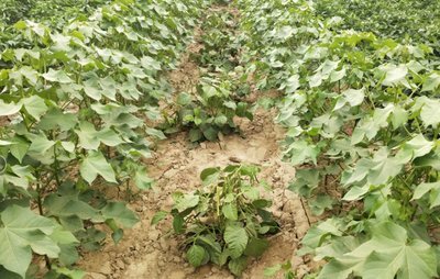 �G������ʩ���ܸ߮a���G���߮a��ʩ�ʷ���