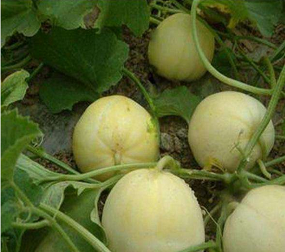 ���ʩ�ʑ���ע�����c�����֪���᣿