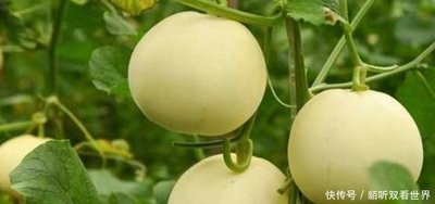 ��ϿƌWʩ��С���ɣ���ϸ߮a���ّn��