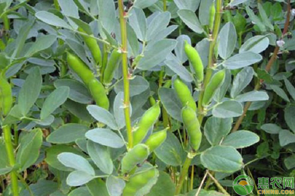 �Q��ʩ���з��������a���ղ����£�