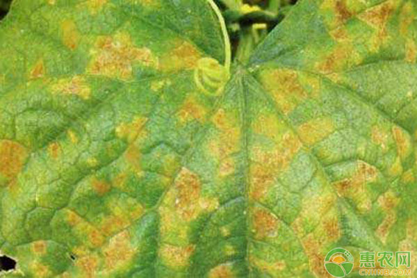 �S�ϰl���t�۲�զ�k���S�ϼt�۲����δ�ʩ