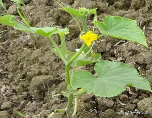 �S���m�óԣ����S���ϷʕrҪע���@Щ��헣�