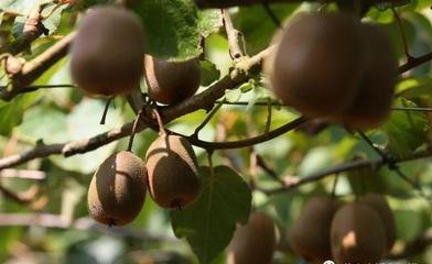 �J����ʩ���v���࣡