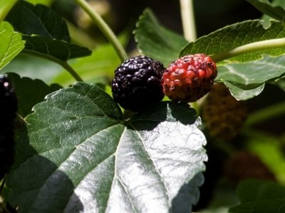 ɣ��Ҫ��ôʩ�ʣ�ɣ���ʩ�ʼ��g