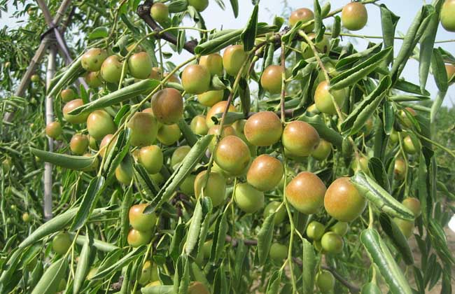 �����ʲô���ѹ��������ѹ����δ�ʩ��