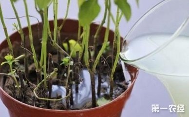 ����׷�ʵķN�����Щ������׷�ʷN�������