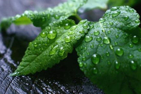 ����Ҫ��ôʩ�� ����ʩ�ʷ�����B