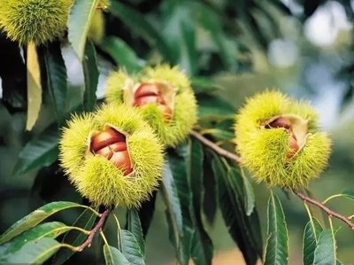 ������ô�����������߮a�������g��