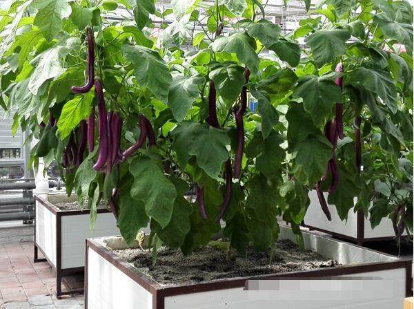 ��������ʩ�ʵ�ע�����(xi��ng)