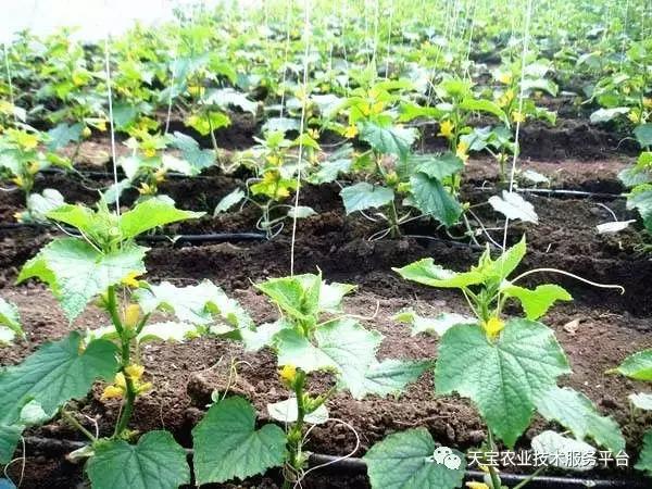 �߲˵��Kԓ�����x���߲˵��K���x�񷽷�