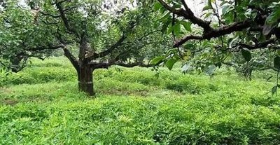 ���@�G���g�����g