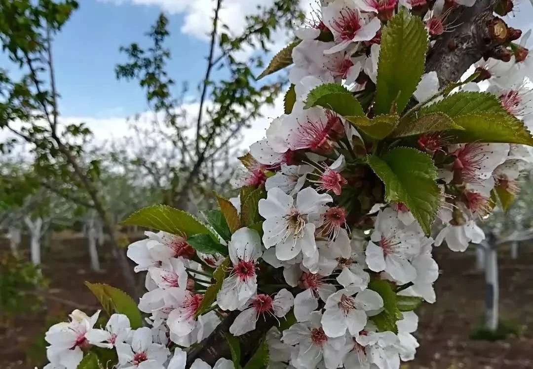 2020��ȫʡ�O�����ҡ��桢���ѡ�����Һ͗��@�����������g��Ҋ