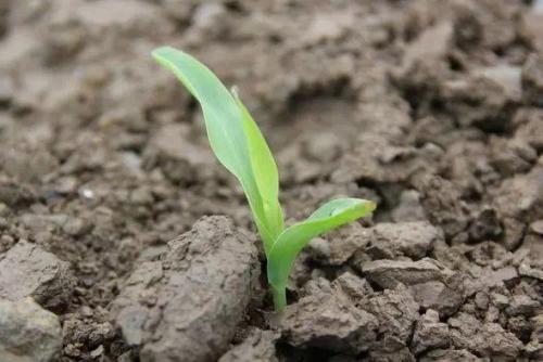 �r(n��ng)�I(y��)���a(ch��n)С֪�R�������r(n��ng)�����ϵ�����