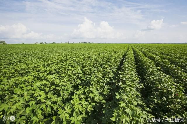 2020���޻�ǰ�����a���gָ����Ҋ