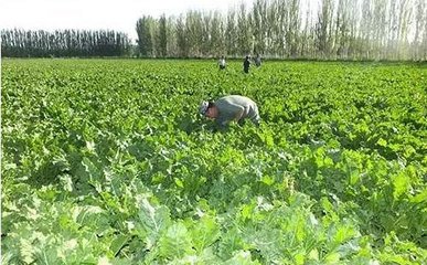 2020����˴������a���gָ����Ҋ