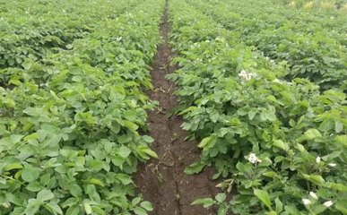 ���û��ʣ�ֻ���r�ҷʷN�R�������ô����ʹ�ã�Ҫע��Щʲô����