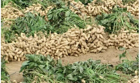 ����ʩ����ʲô���g�������~�懊�ʑ��ü��g��