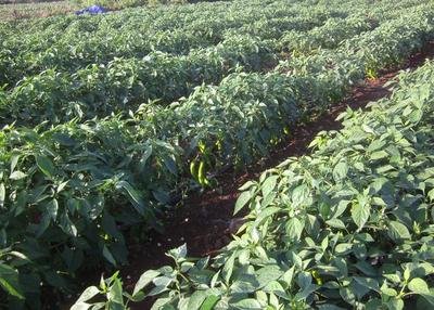 ������ʩ�ʼ��g(sh��)�cʩ�����c��֪��ô���s���˽�һ�°�