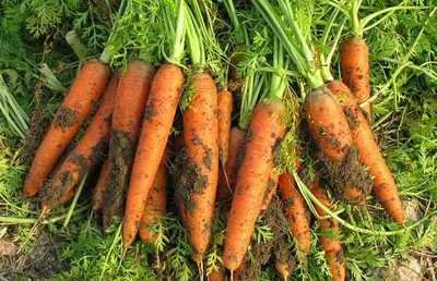 ���}��ʩ�ʵĕr(sh��)��Ҫע��ʲô�����}��ʩ��ע�����(xi��ng)��