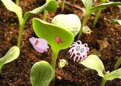 ��֪��������ġ�������ʲô����ô�����˽�һ�°ɣ�