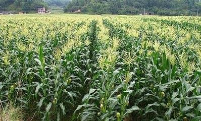 ���׸߮a(ch��n)����ʩ�ʣ�ӛ���@�傀(g��)�E�[��