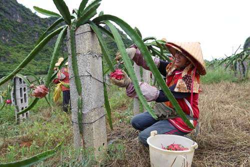 �Nֲ��������ԓ����ʩ�ʣ�������ʩ�ʼ��ɣ�