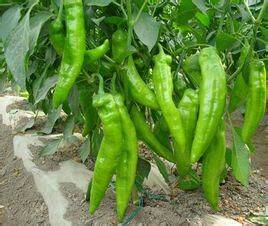 �ཷ��ԓ����ʩ�����ཷ���_ʩ�ʵķ�����