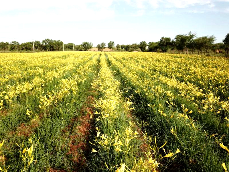 �Nֲ�S���ˑ�ԓ����ʩ�����S����ʩ�ʼ��g��