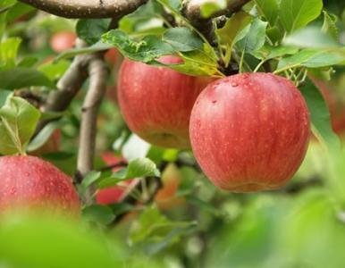 �O��ʩ�ʑ�(y��ng)ԓע��ʲô�أ��O��ʩ�ʷ�����