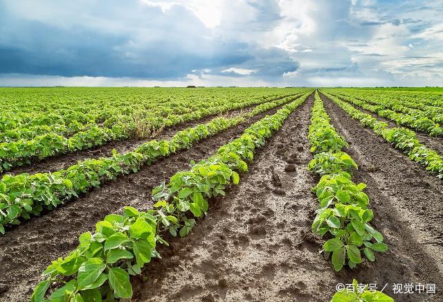 �Nֲ�󶹑�ԓ���ʩ�ʣ���ƽ��ʩ�ʷ�����