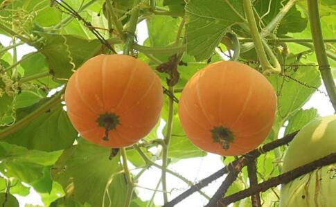 �Ϲ����ӌ�(sh��)�F(xi��n)�߮a(ch��n)���Ϲϸ߮a(ch��n)�ķ�ˮ����Ҫ�c(di��n)