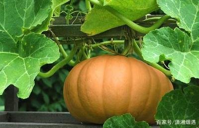 �Ϲ��к������ӹ������Ϲ��к��ڹ������g(sh��)