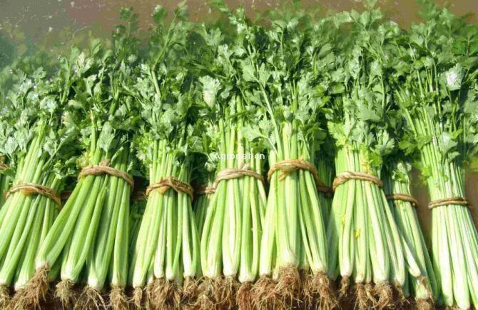 �۲����ڑ�������ʩ�ʣ��۲����ڵķ�ˮ������