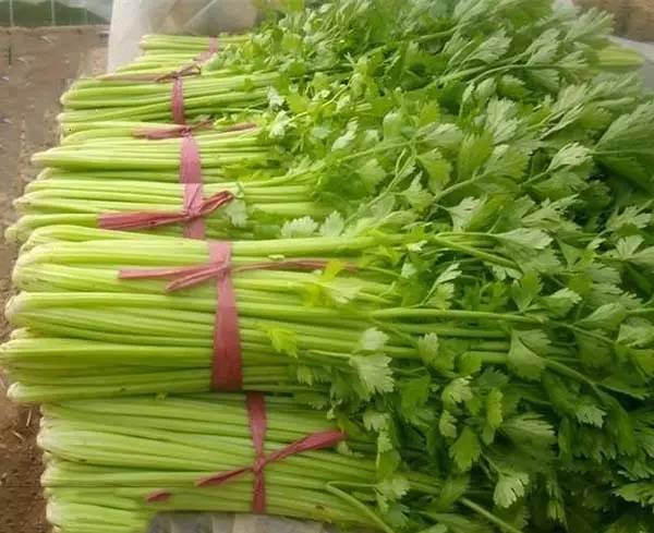 �۲ˑ�(y��ng)ԓ����ʩ�ʣ��۲˜y���䷽ʩ�ʼ��g(sh��)��